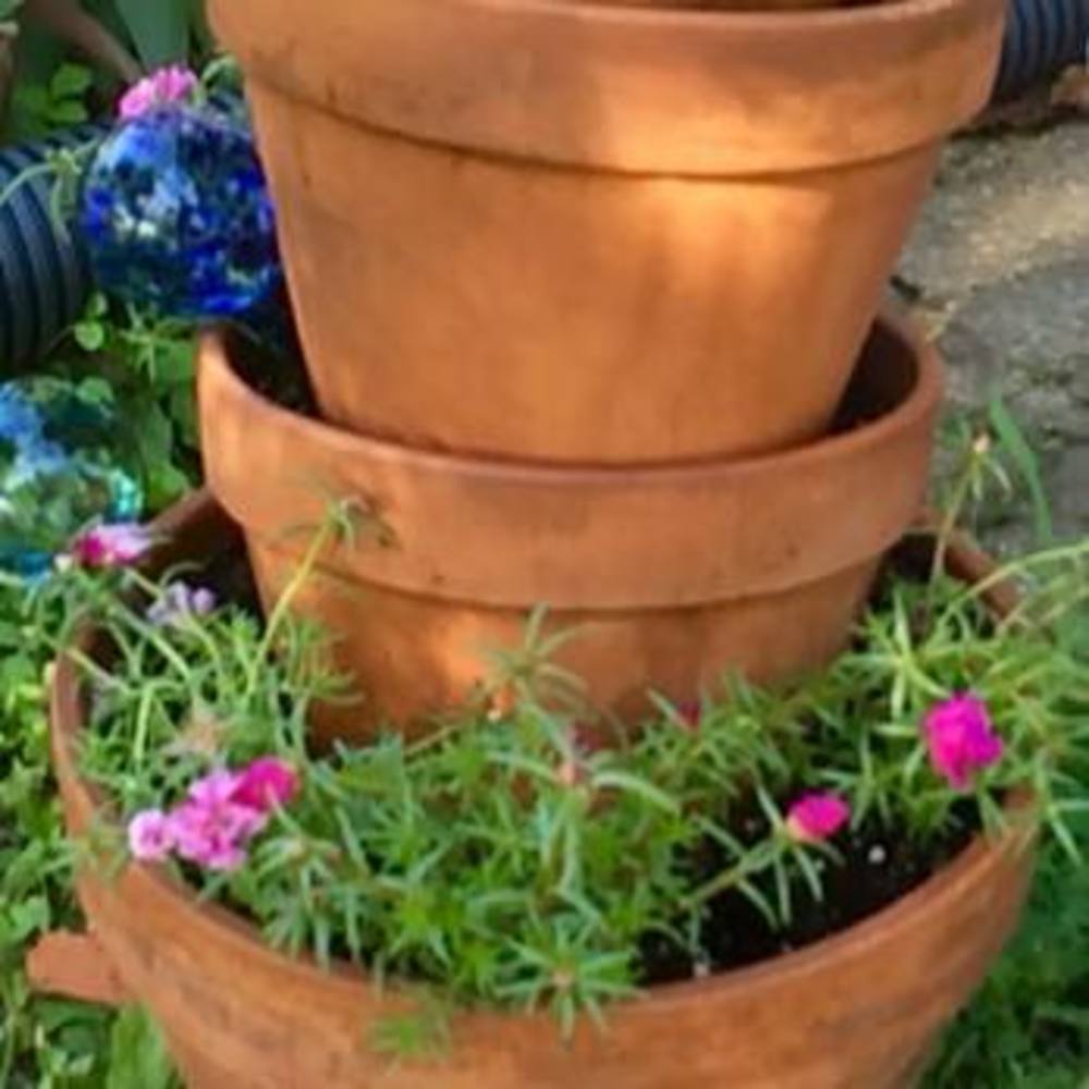 Meet your Posher, Carol